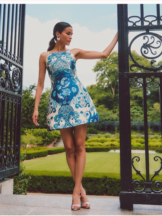 Mestiza New York Dresses & Skirts - NWT MESTIZA NEW YORK Aniston Mini Dress Jardin Bleu